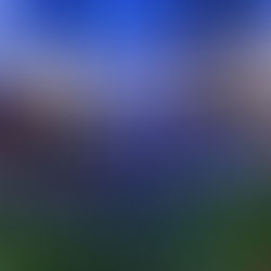 🎤Rock in Rio 2024 anuncia Dia Brasil