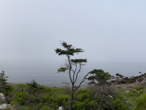 Jour 4 : Brume mystique, virages intenses et l'accueil légendaire de Shelburne !
