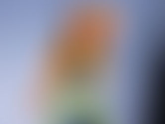 🎤Shakira atrai 2 milhões de pessoas para a Praia de Copacabana