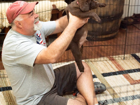 Will Brunz of Columbia Mountain Kennels preformed the Volhard test
