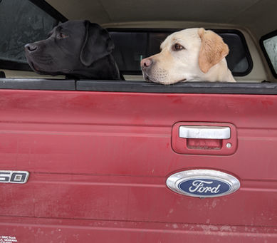 The most eligible bachelor?