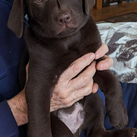 casper the friendly ghost stuffed doll
