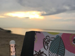 GUEST POST: "On My Writing Process: Wait, There's a Process?" by Erin Sweet Al-Mehairi