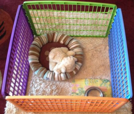 Pet playpens – Keep injured pets confined / potty train new pets.