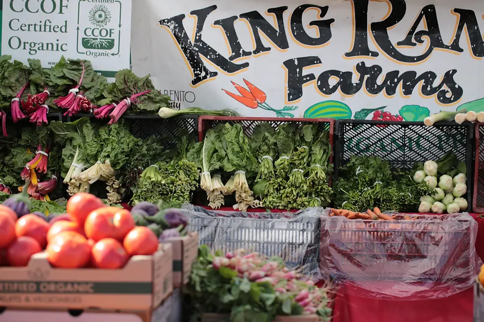 Sustainable Ingredients for Eco-Friendly Custom Cakes: Indulge Without the Guilt