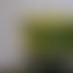 The Art of Cake Presentation: Transform Your Desserts into Showstoppers