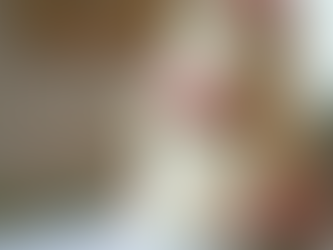 The Ultimate Guide to Choosing the Perfect Cake for Every Special Occasion