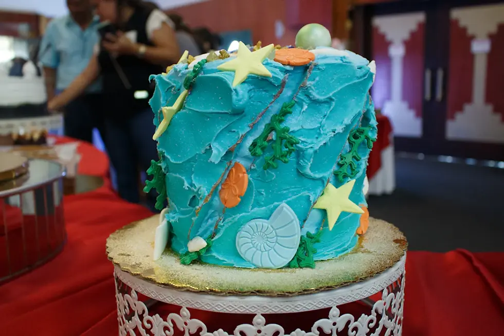 Capture the Sweetness: Mastering Cake Photography for Social Media