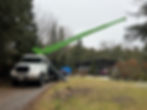 Tree removal with crane.jpg