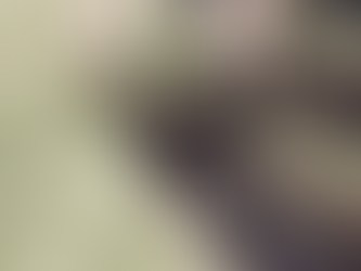 Gärtner Café: Rasensaison