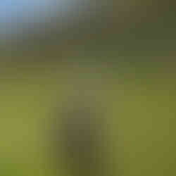 Mt. Asahi, Asahikawa