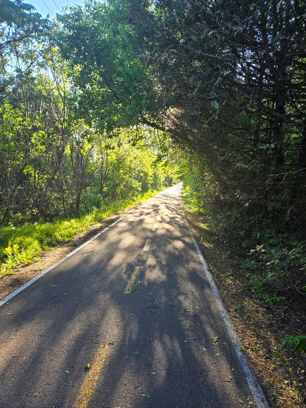 ALL I COULD THINK OF WAS A TRAIL.