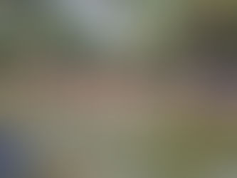 3 DAYS OF THE WALKING MONK