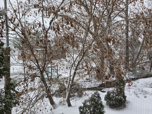 WHAT WILL BE NEW IN THE NEW YEAR?