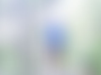 AN ATLANTIC COMMUNITY