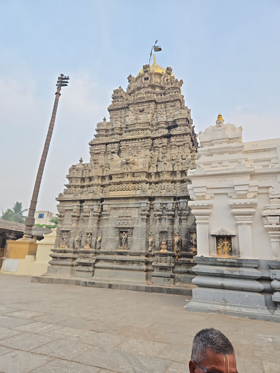 KURMA IS WORSHIPPED HERE.