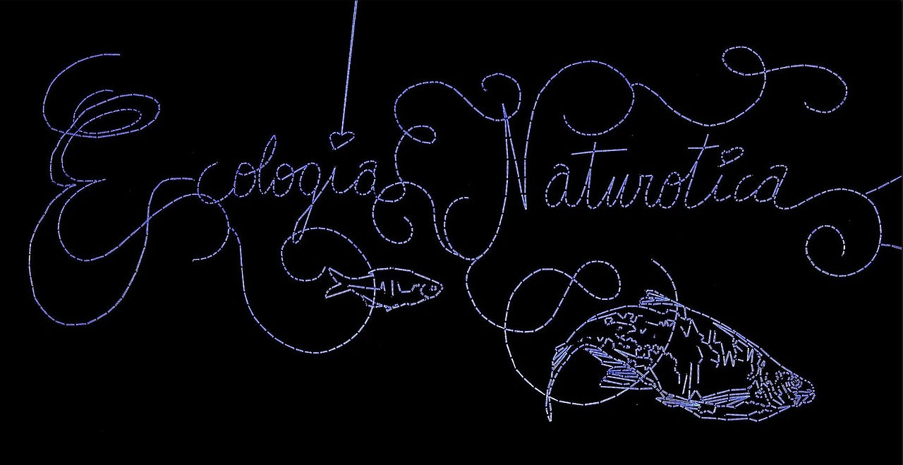 Ecologia Naturotica | Julien Salaud