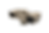 GSS-Moon-S-001.png