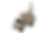 VEGA-L-S-Render-KS-001.png