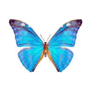 Post Processing & Creative Editing