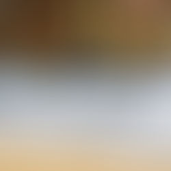 DIRIGENTES DE TRANSPORTACIÓN APOYAN DECISIÓN DE DESVINCULARSE IBARRA DE LA MANCOMUNIDAD DE TRÁNSITO