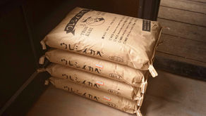 現場にウレシイがいっぱい。