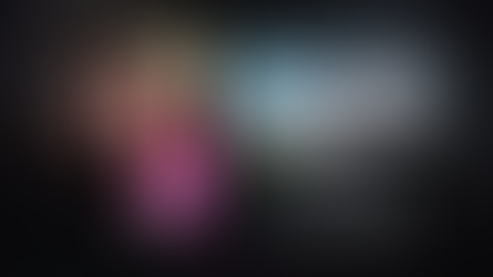 The Perfect Life