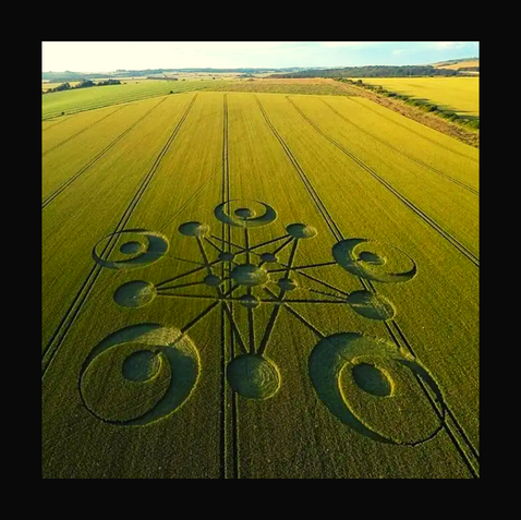 Episode 21 // Crop Circles: Alien Messages or Man-Made Hoaxes?
