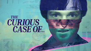 The Curious Case of the Doomsday Cat Cult