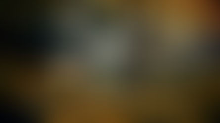 Night Terror: The New York Zodiac Killer