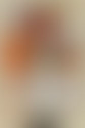 Crochet Patterns for Fall