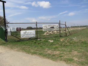 Bandera Fiber Festival