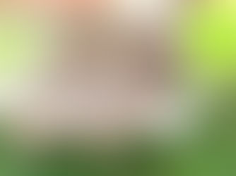 Last Pattern for 2025