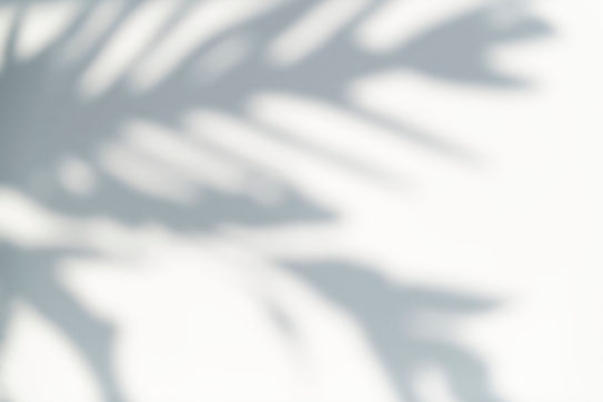 shadow-leaves-design-element-scaled (1).jpg