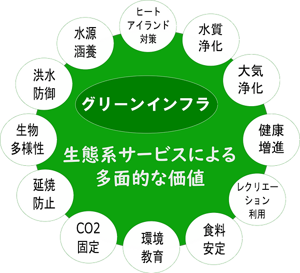 グリーンインフラ図ver2.png