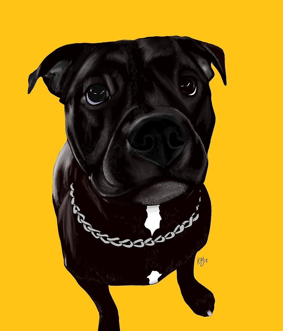 Kona_Pup