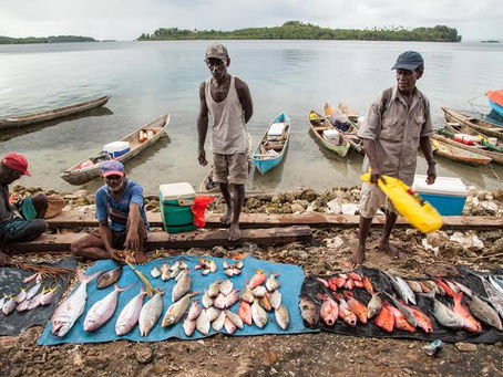 Gizo Market...a special Attraction