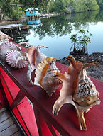 world class snorkeling diving