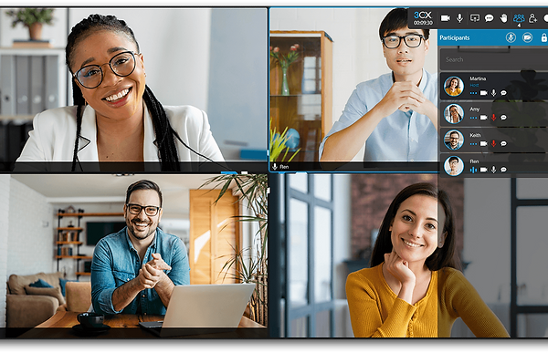 videoconferencing_group.png
