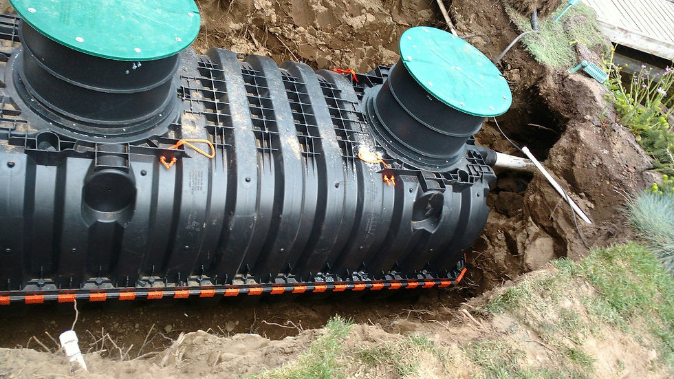 Septic