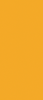 BG_Amarelo.png