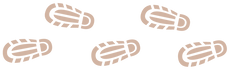 Schritte.png
