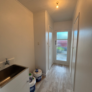 Complete interior repaint, Napier 2025