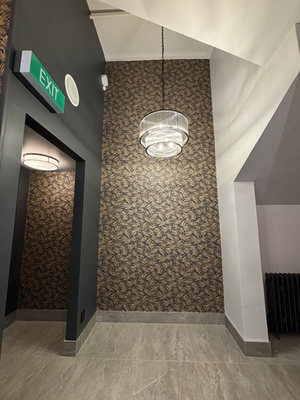 Municipal Theatre Bathroom Renovations, February 2025