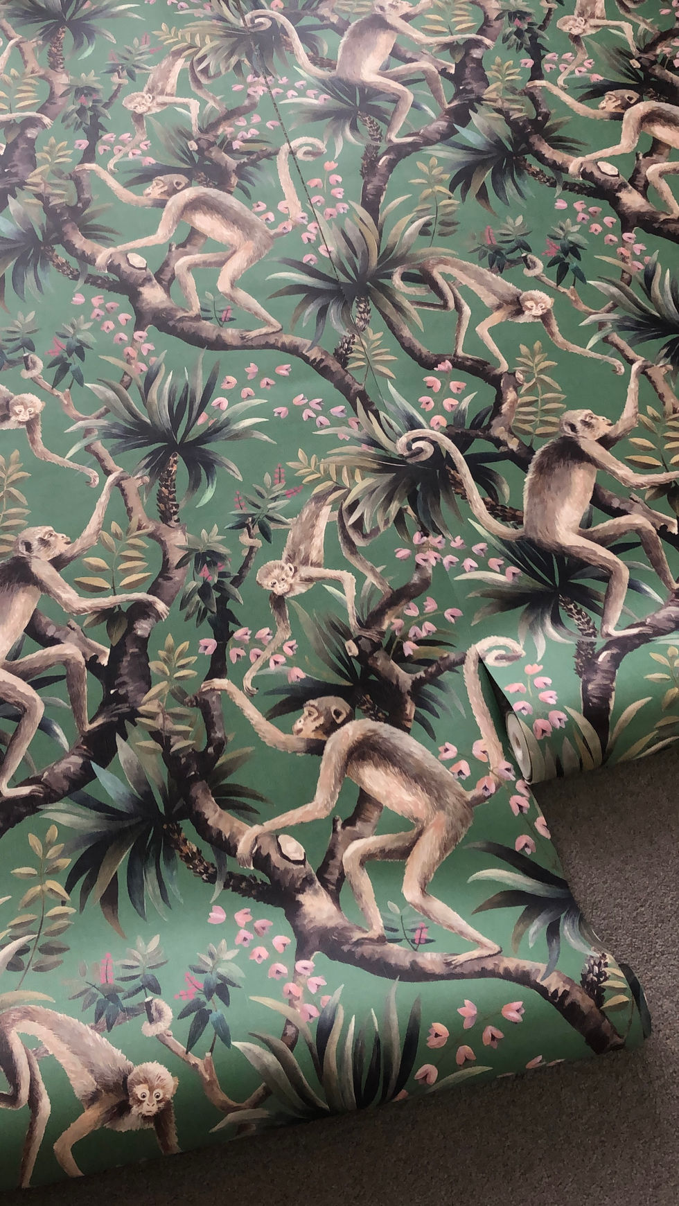 92BDE4EB-105F-4A01-A358-A38613A5913D