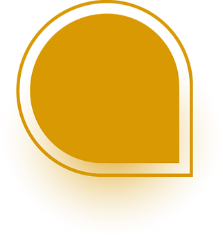 Wix Web Expert