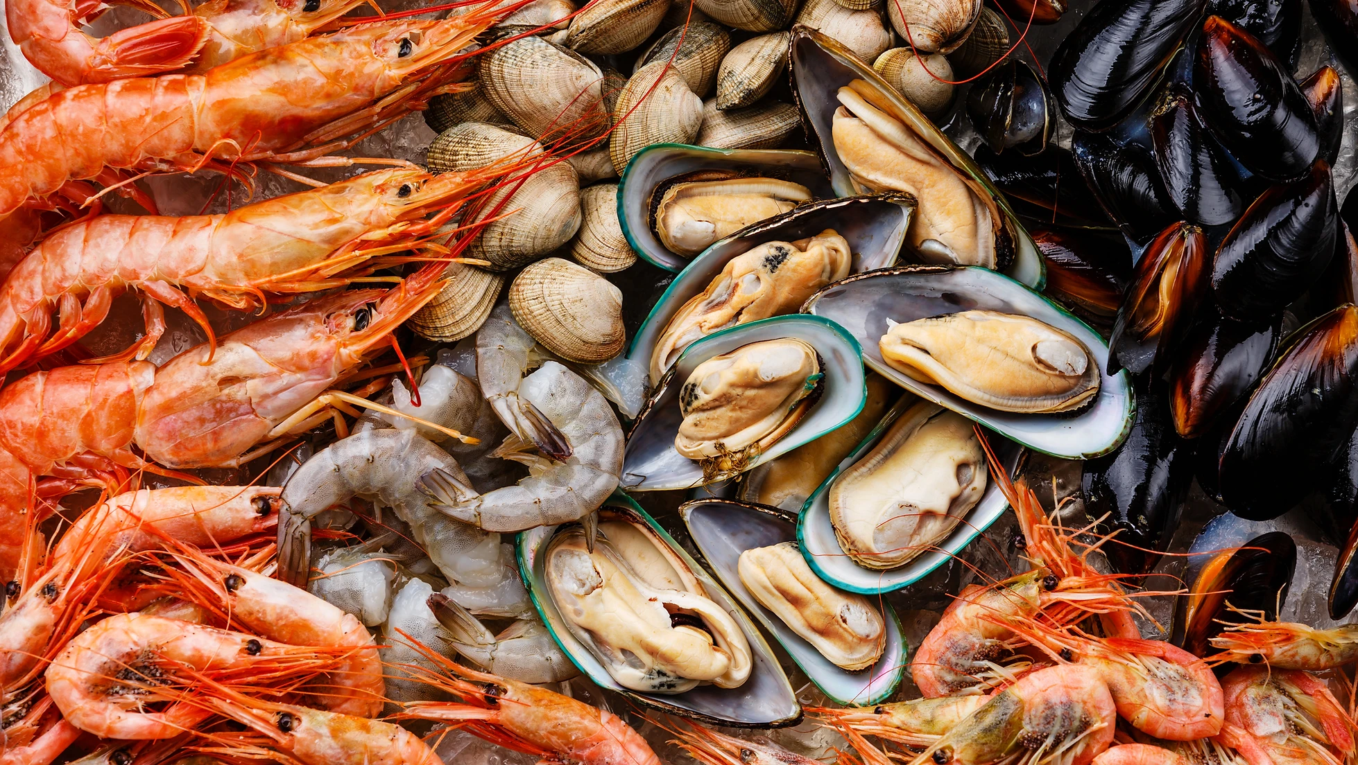 The Welcome Clambake