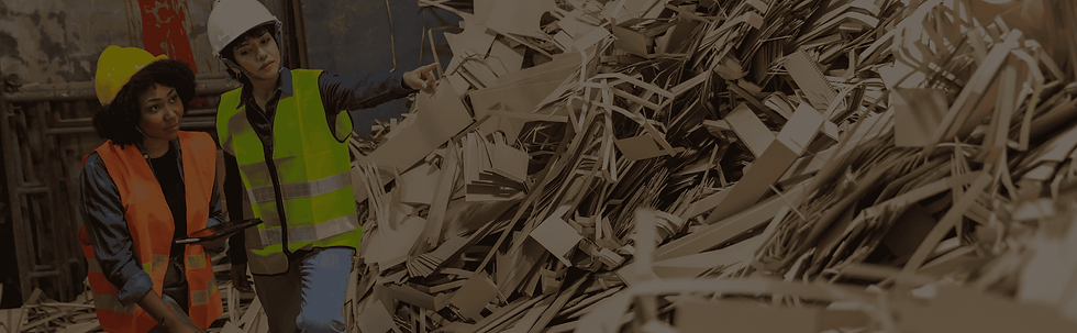 image 03.png