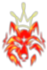logo VK.png