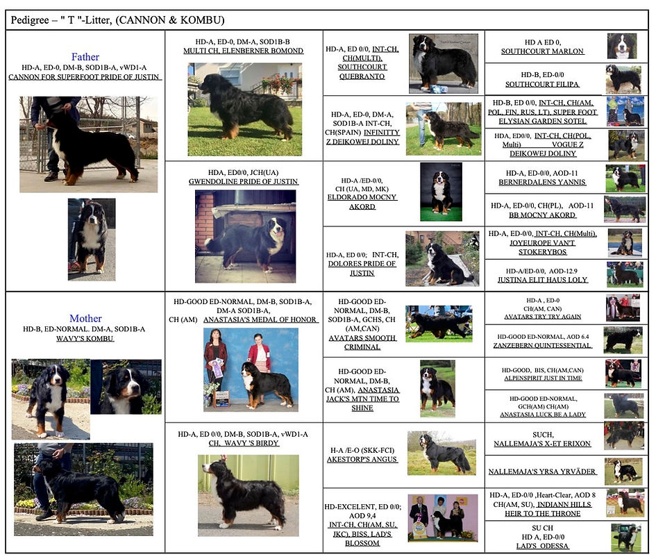 Kombu and Cannon pedigree picture.jpg